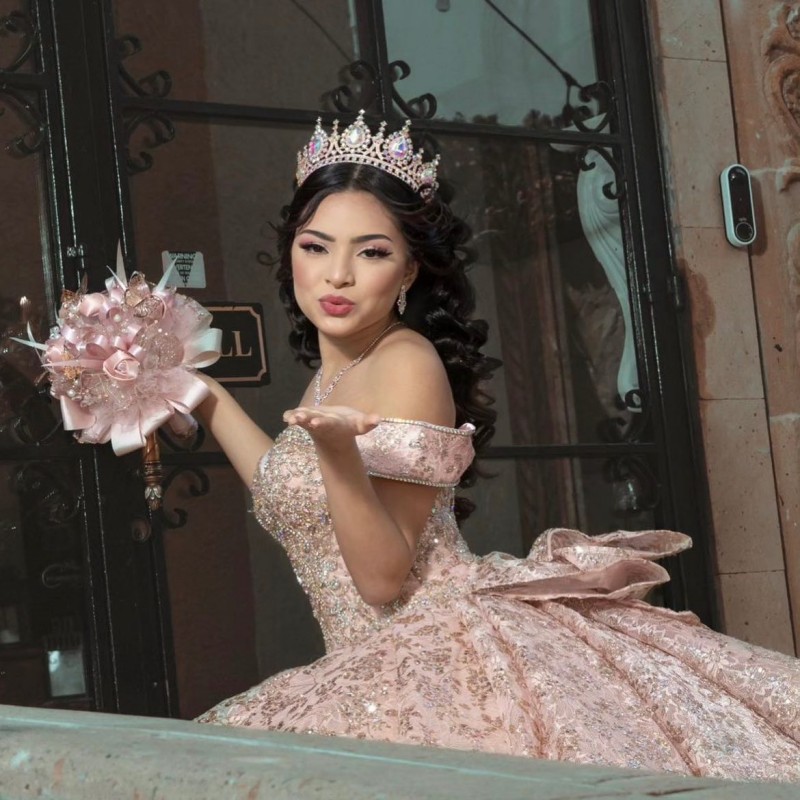 Customized Pink Ball Gown Quin - đánh giá và giá Glitter Tablecloth