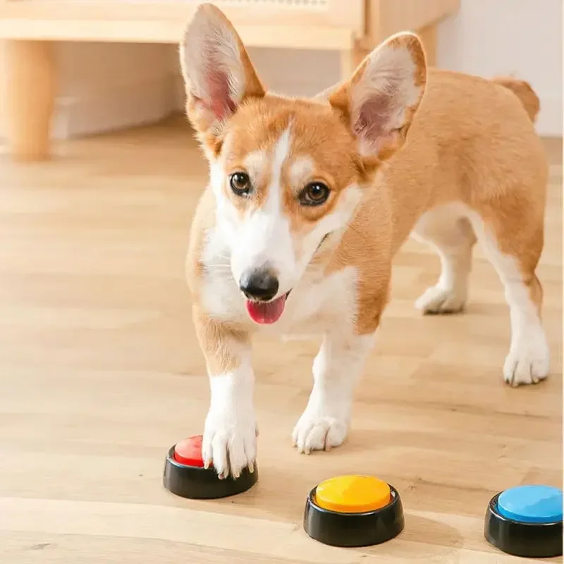 2026 Recordable Talking Pet Bu - đánh giá và giá Event Party Box